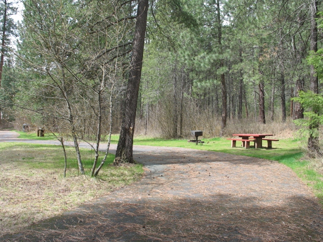 picture showing Campsite #8 has an accessible picnic table, grill and large pull through RV space.